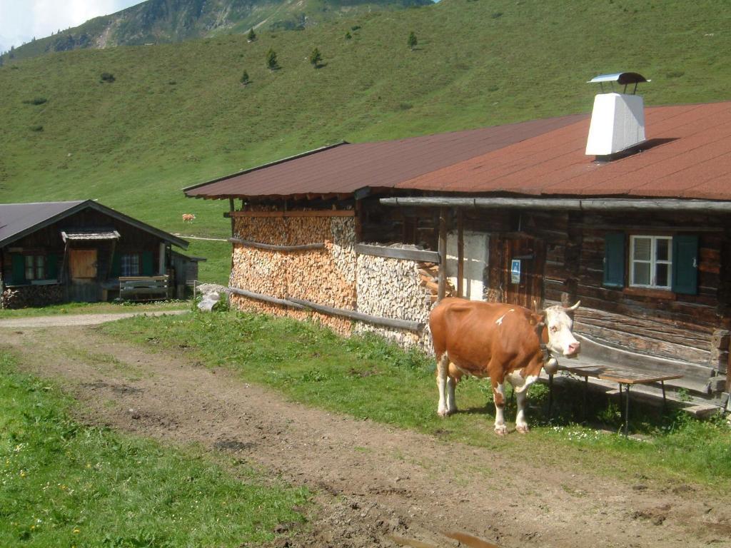 Haus Brugglbach Διαμέρισμα Κίρχμπεργκ ιν Τιρόλ Εξωτερικό φωτογραφία